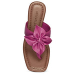 Aerosoles Calla Berry 7 B (M)