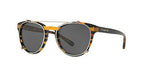 Coach HC8216-544087 Sunglasses L1652 BLK AMBER GLTR VARSITY S w/DARK GREY SOLID 51mm