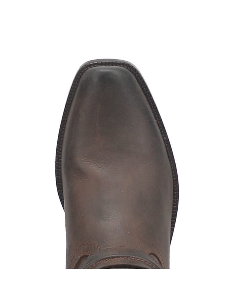 Dingo Hombre Brown 10 D (M)