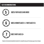 WILSON NCAA Street Shot Basketball - 27.5"