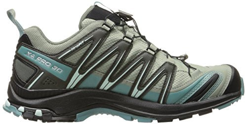 Salomon Women's XA Pro 3D ClimaSheild Waterproof Trail Running Shoes, Shadow/Black/Artic, 7 M US