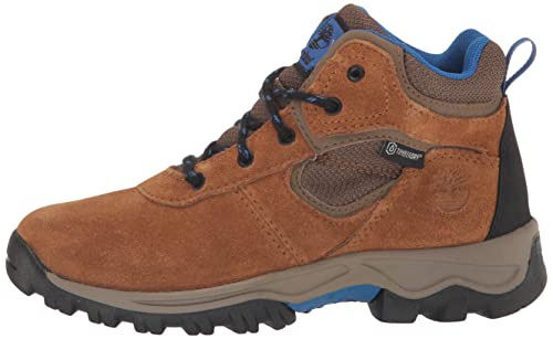 Timberland Youth Mt. Maddsen TimberDry Waterproof Hiking Boot, Medium Brown Suede, 2 US Unisex Little Kid