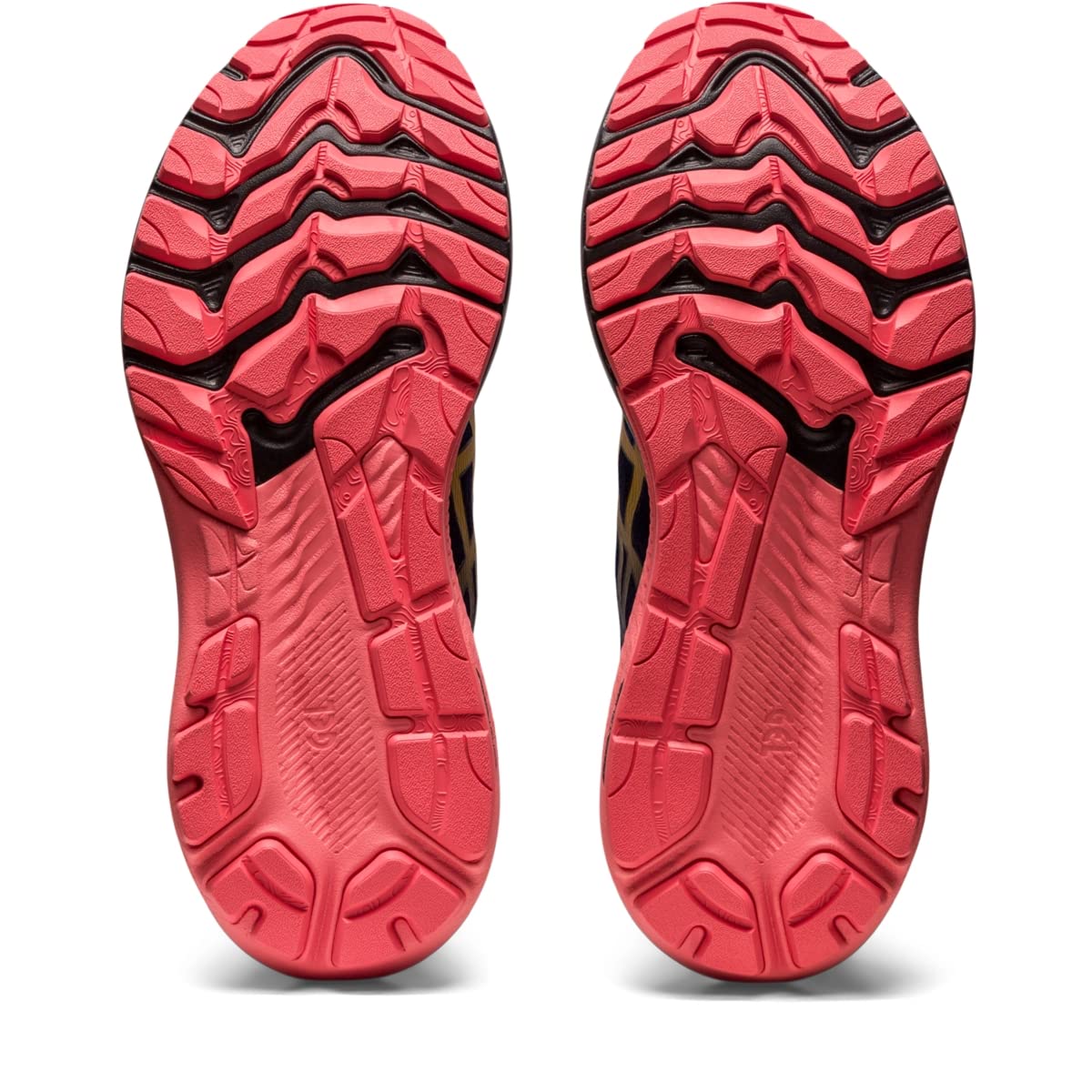 ASICS GT-2000 11 Trail Nature Bathing/Papaya 10 B (M)