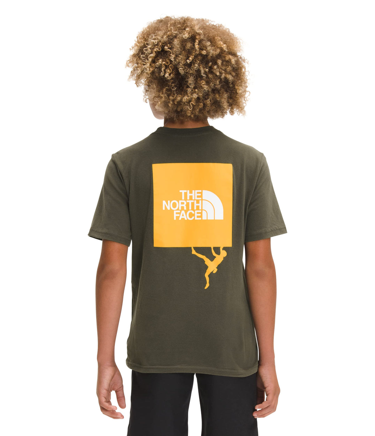 THE NORTH FACE Boys' Short Sleeve Graphic Tee New Taupe Green X-Large