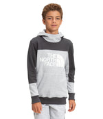 THE NORTH FACE Boy's Street Logo Pullover Hoodie (Little Kids/Big Kids) Tnf Light Grey Heather XL (18-20 Big Kids)