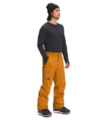 THE NORTH FACE Men's Freedom Pant, Citrine Yellow, Small Regular