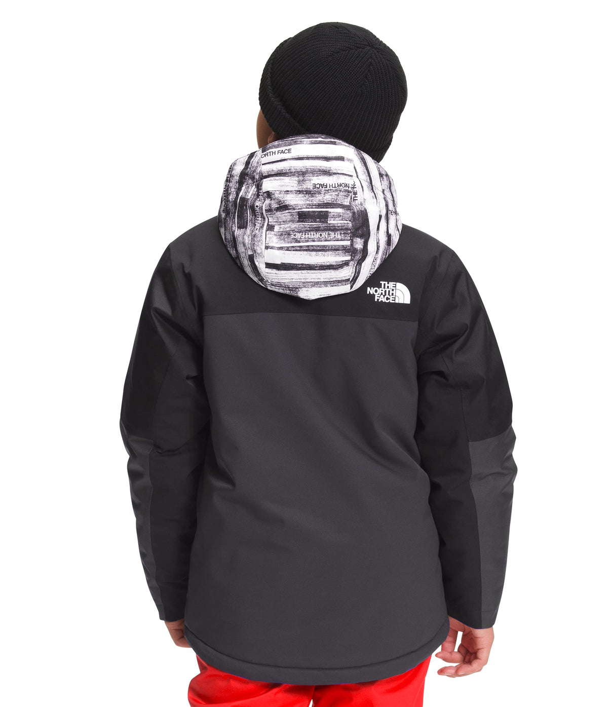 THE NORTH FACE Boys' Freedom Extreme Insulated Jacket, TNF Black TNF Brushstroke Print, X-Large