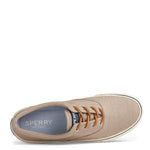 Sperry Men's, Striper II CVO Sneaker