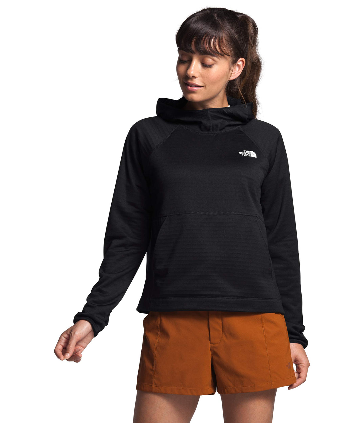 THE NORTH FACE Echo Rock Pullover Hoodie TNF Black LG