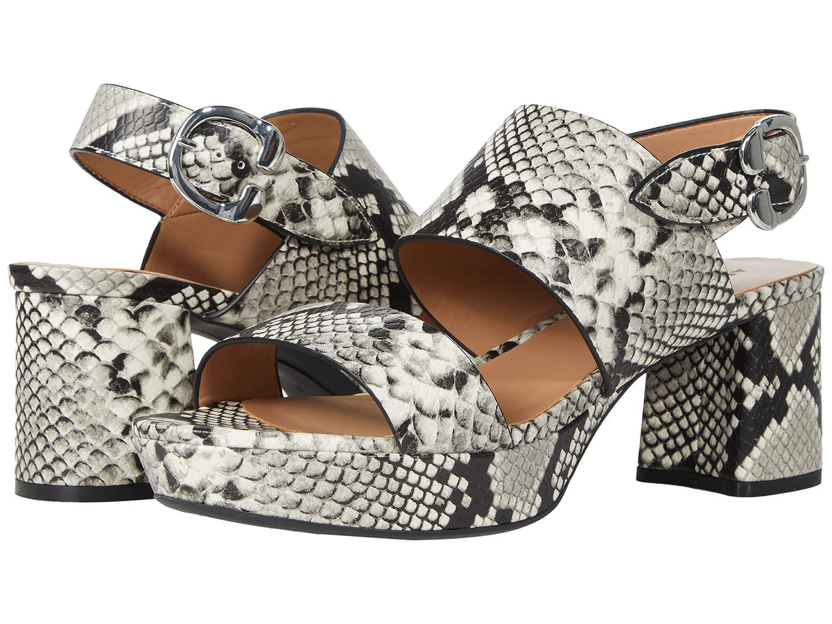 Aerosoles Camera Roccia 8 B (M)