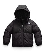 The North Face Toddler Moondoggy Hoodie, TNF Black, 4T