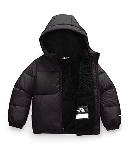The North Face Toddler Moondoggy Hoodie, TNF Black, 4T