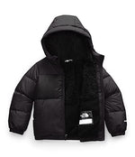 The North Face Toddler Moondoggy Hoodie, TNF Black, 4T