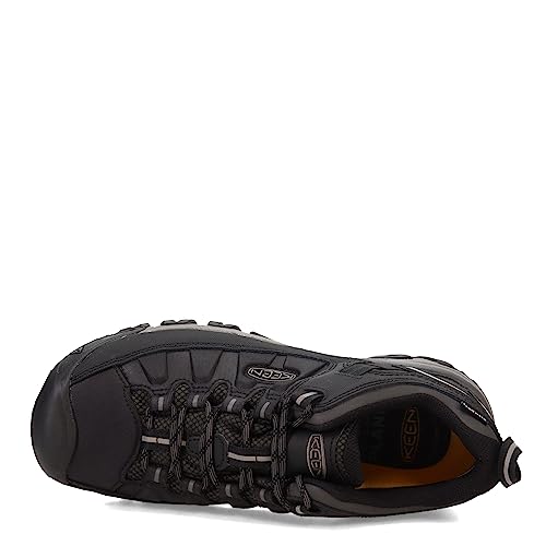 KEEN mens Targhee Exp Low Height Waterproof Hiking Shoe, Black/Steel Grey, 7.5 US