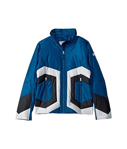 Obermeyer Kids Girl's Dustin Down Jacket (Little Kids/Big Kids) Passport XL (18 Big Kids)