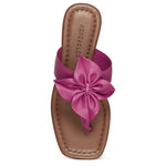 Aerosoles Calla Berry 7 B (M)