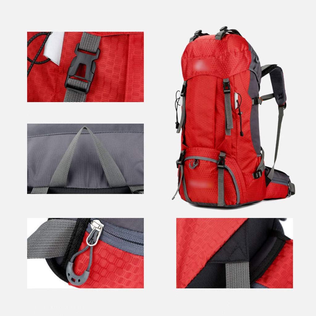 60L Hiking Backpack with Rain Cover, Lightweight Outdoor Trekking Multipurpose Backpack for Climbing Camping-Purple
