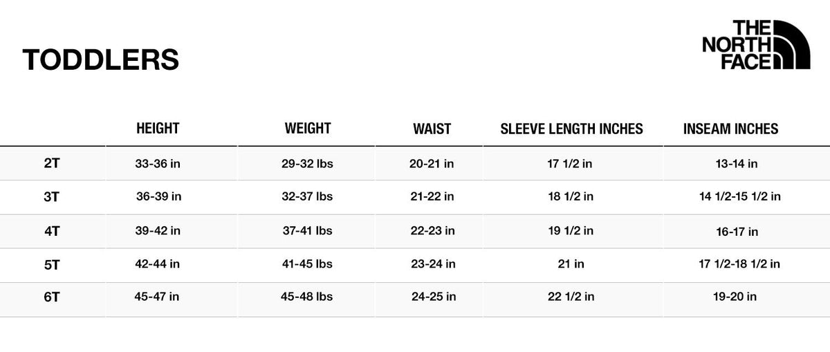 THE NORTH FACE Toddler Moondoggy Hoodie - Youth Sweet Violet 4T