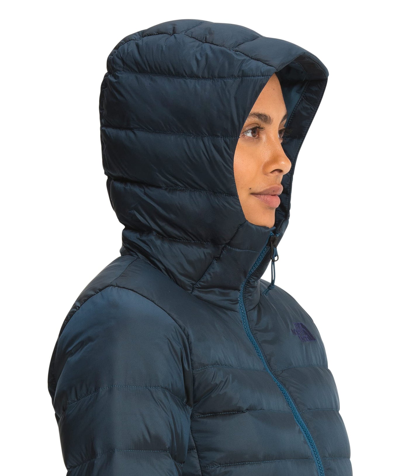 THE NORTH FACE Women's Aconcagua Hoodie, Monterey Blue, X-Large
