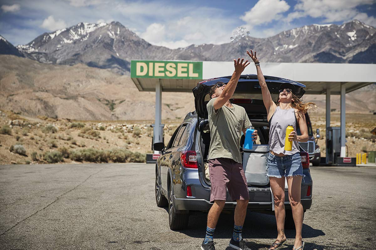 Hydro Flask Standard W Flex Cap Kiwi 21 Ounce, 1 EA