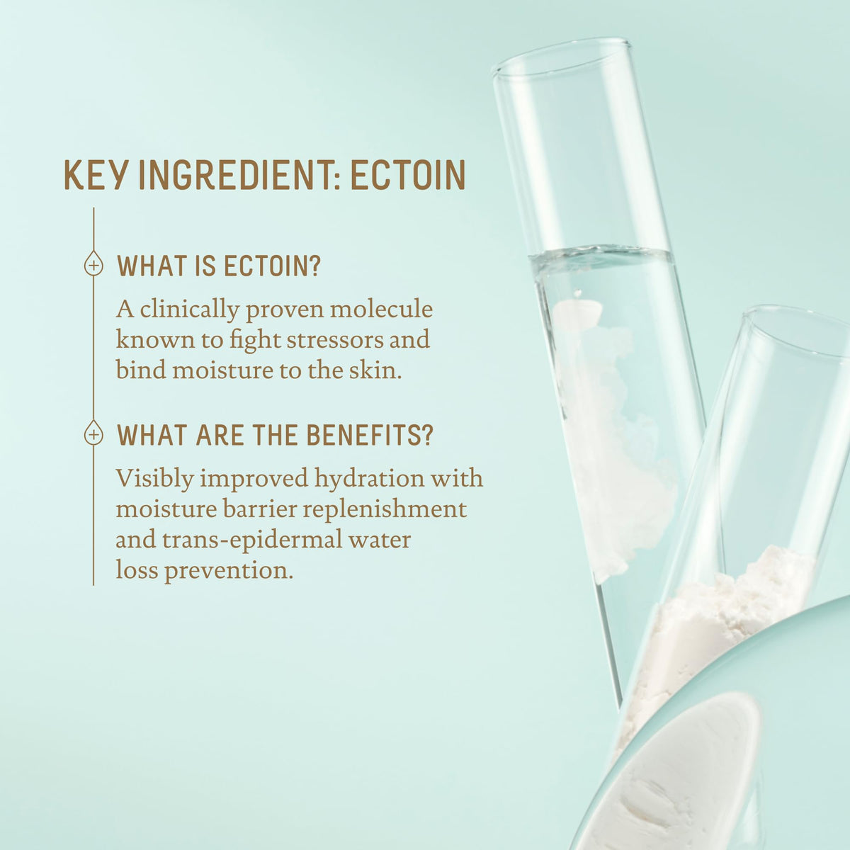 Biossance Squalane + Zinc Sheer Mineral Sunscreen. Broad-Spectrum SPF 30 PA+++ Zinc Oxide Sunscreen That Protects and Hydrates Sensitive Skin. Lightweight, Non-Greasy and Reef-Safe (1.7 ounces)