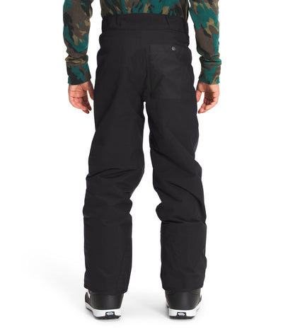 THE NORTH FACE Boy's Freedom Insulated Pants (Little Kids/Big Kids) TNF Black MD (10-12 Big Kid)