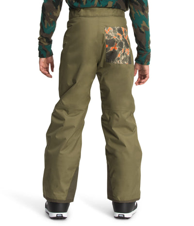 THE NORTH FACE Boy's Freedom Insulated Pants (Little Kids/Big Kids) Burnt Olive Green MD (10-12 Big Kid)