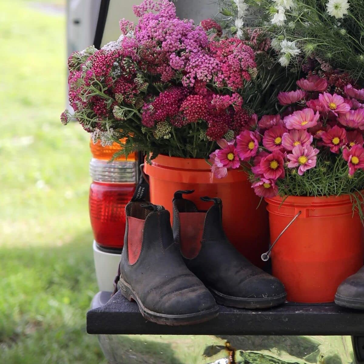 Blundstone Unisex Super 550 Series Black/Red Slip-On - 3.5 UK