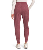 THE NORTH FACE Women’s Canyonlands Jogger (Standard and Plus Size), Wild Ginger Heather, 2X Plus Regular