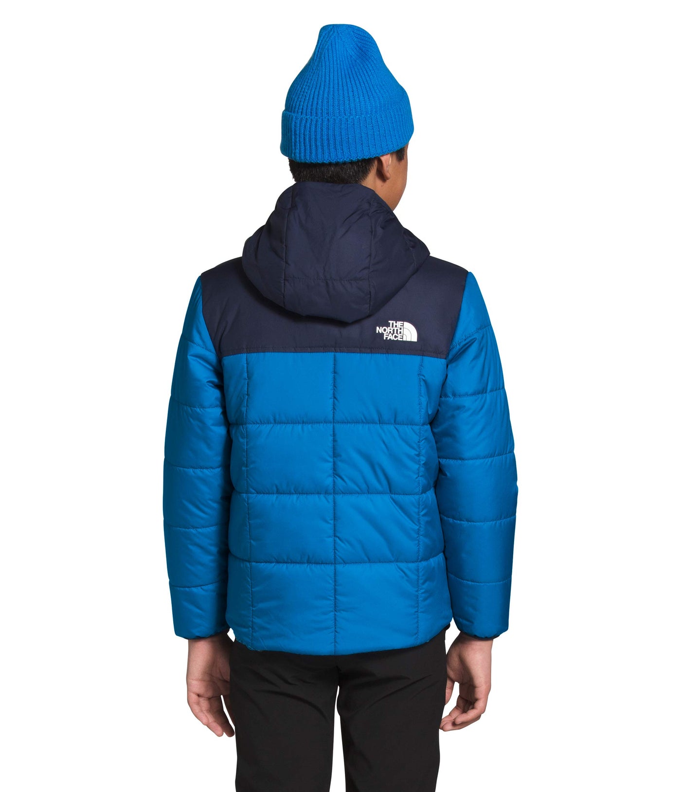 THE NORTH FACE Boy's Reversible Perrito Jacket (Little Kids/Big Kids) Clear Lake Blue XL (18-20 Big Kids)