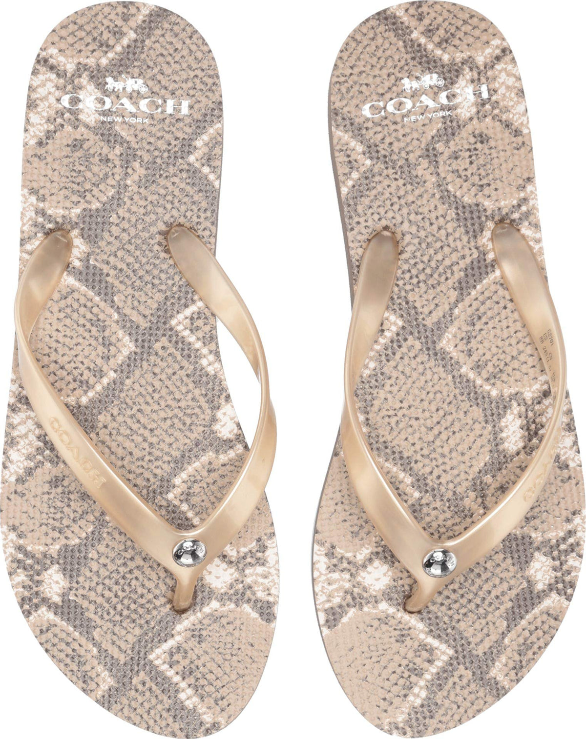 COACH Flip-Flop Natural 7 M