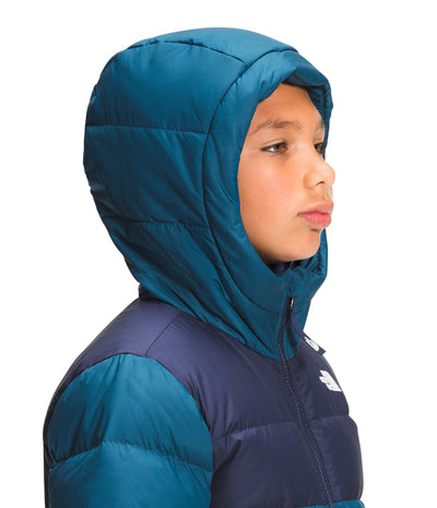 The North Face Youth Moondoggy Hoodie, Monterey Blue, XXS
