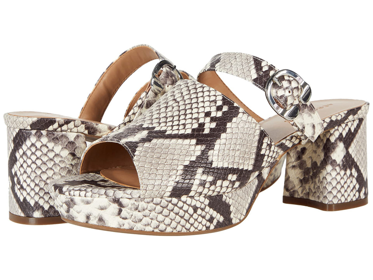 Aerosoles Cosmic Roccia 12 B (M)